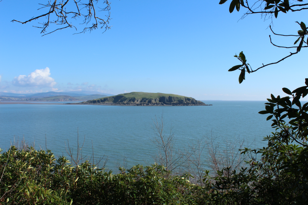 unnamed - 2025-06-02T132424.898